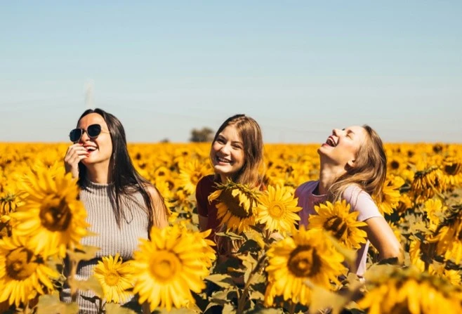 3 femmes dans un champ de tournesols rient aux éclats!